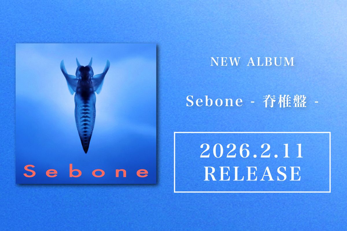 Sebone -脊椎盤-