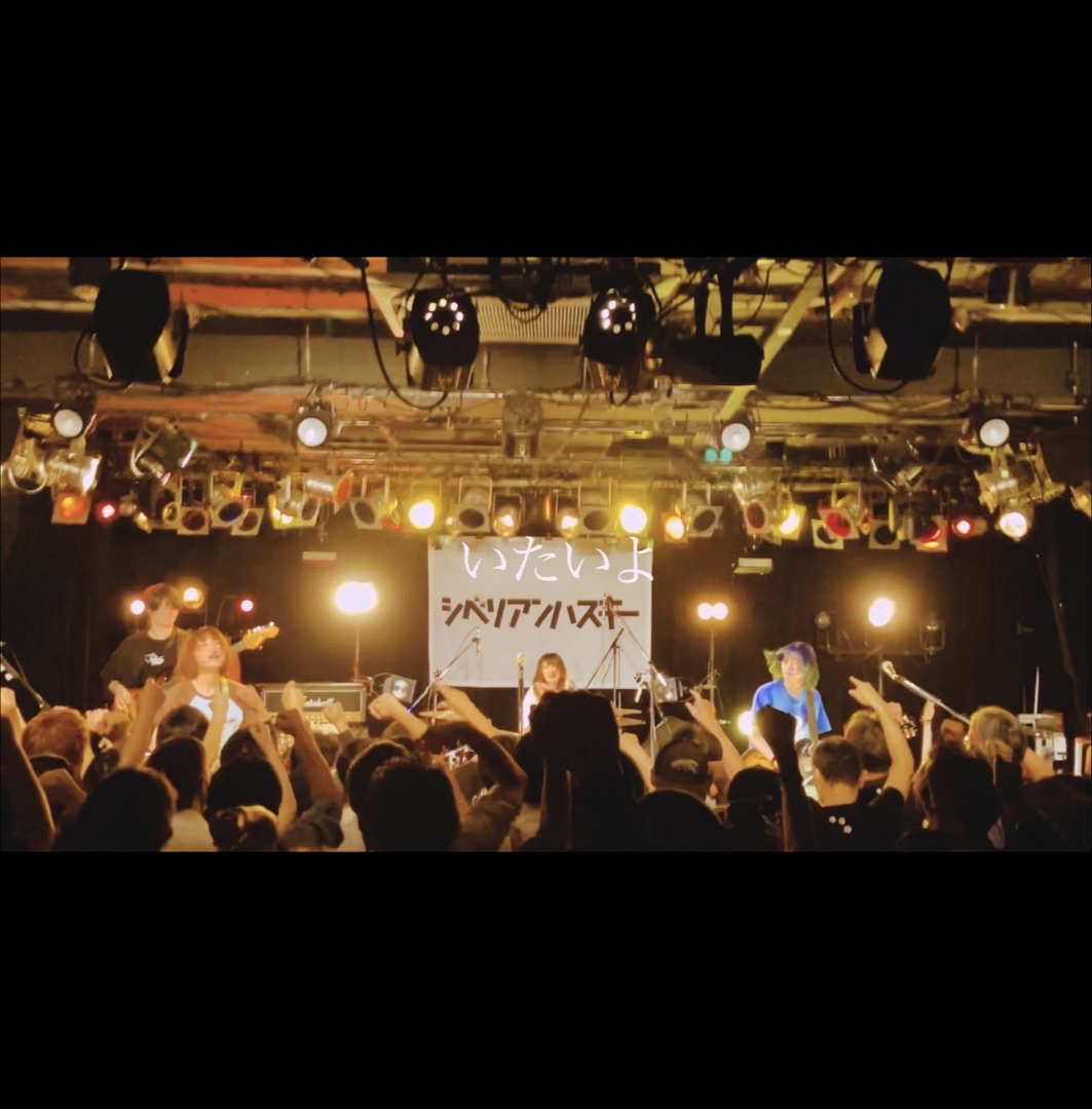 いたいよLiveMV