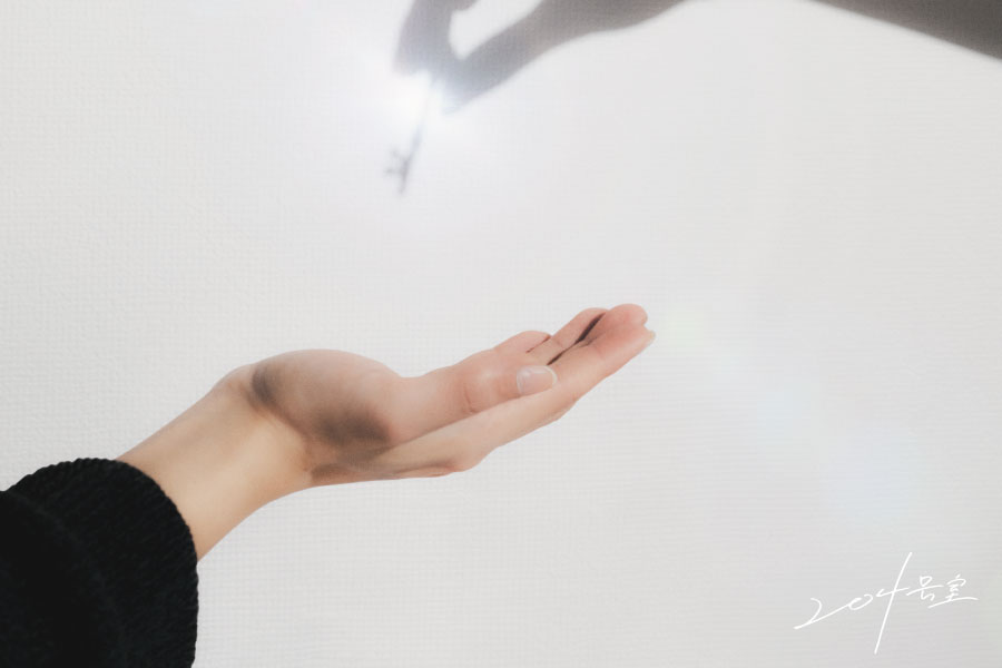 204号室