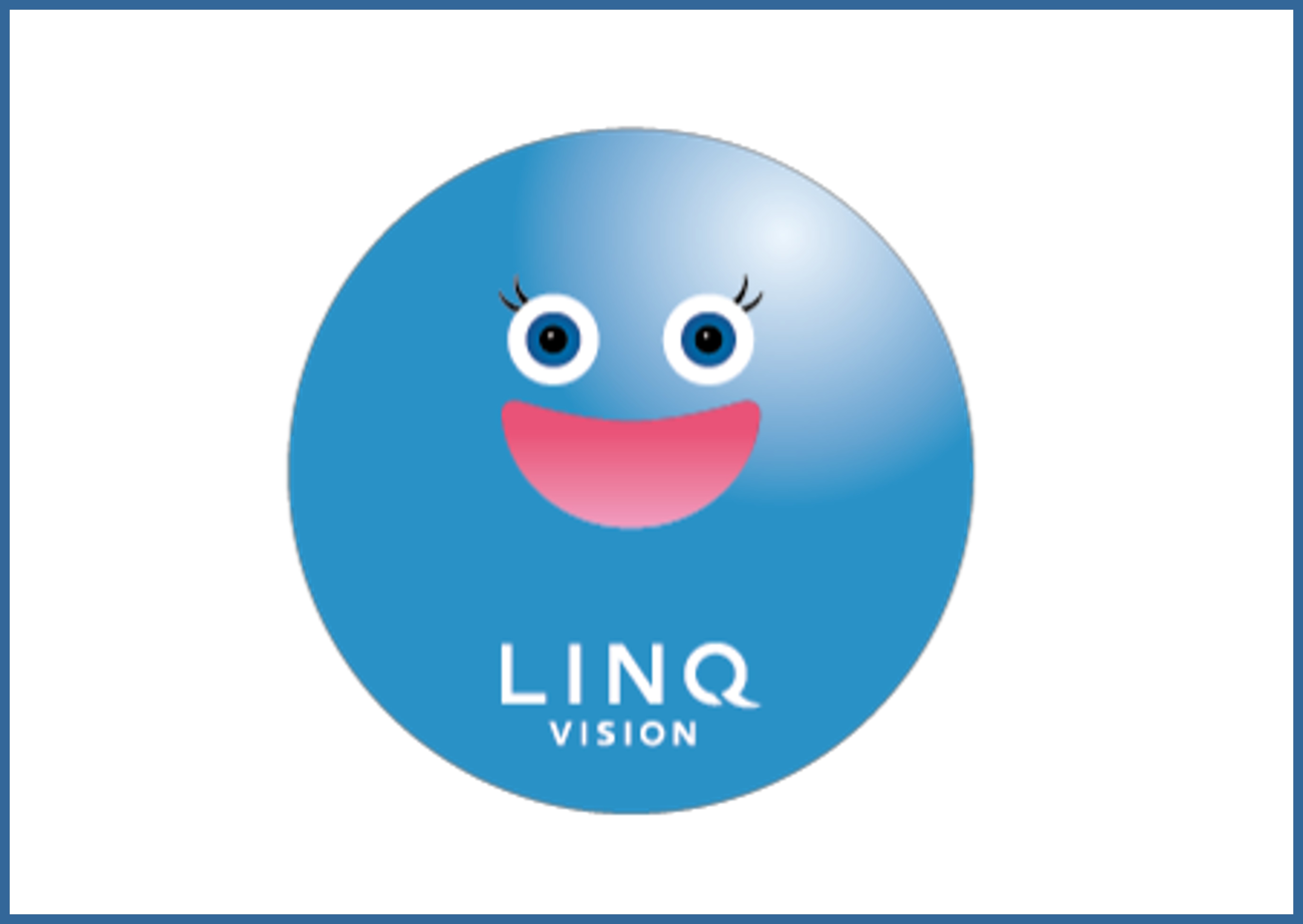 LINQVISION