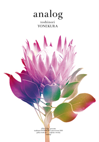 sTYle72 inc. presents toshinori YONEKURA concert tour 2019 -gotta crush on..... volume. twenty- “analog”