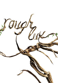 toshinoriyonekura.com presents toshinori YONEKURA concert tour 2014 -gotta crush on..... volume. fifteen- “rough lux”