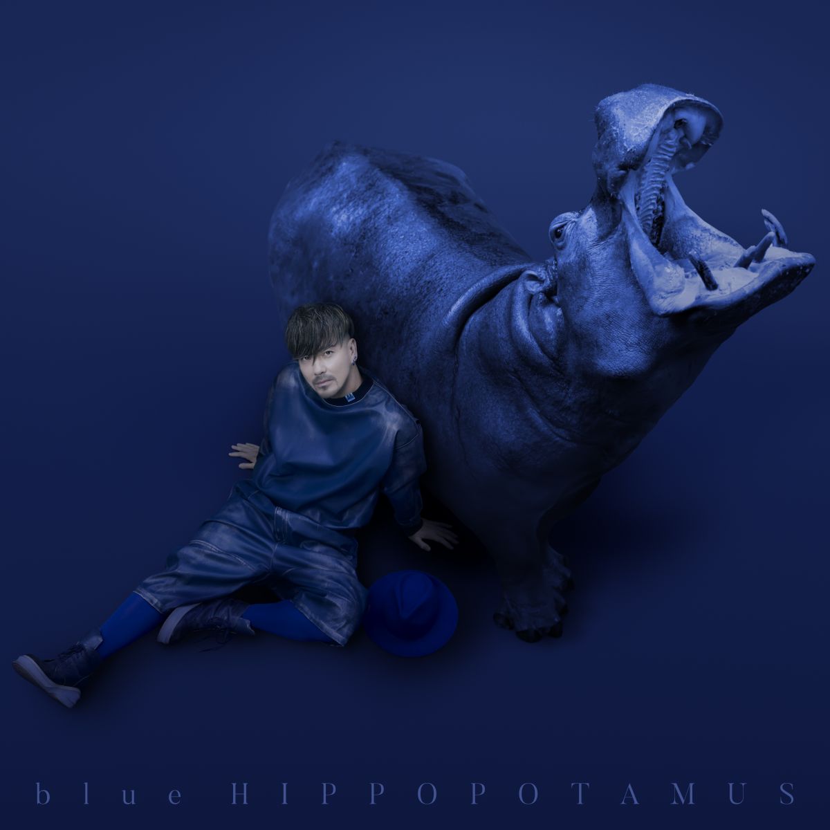 blue HIPPOPOTAMUS