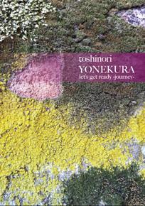 –gotta crush on..... volume. twelve– 2011 