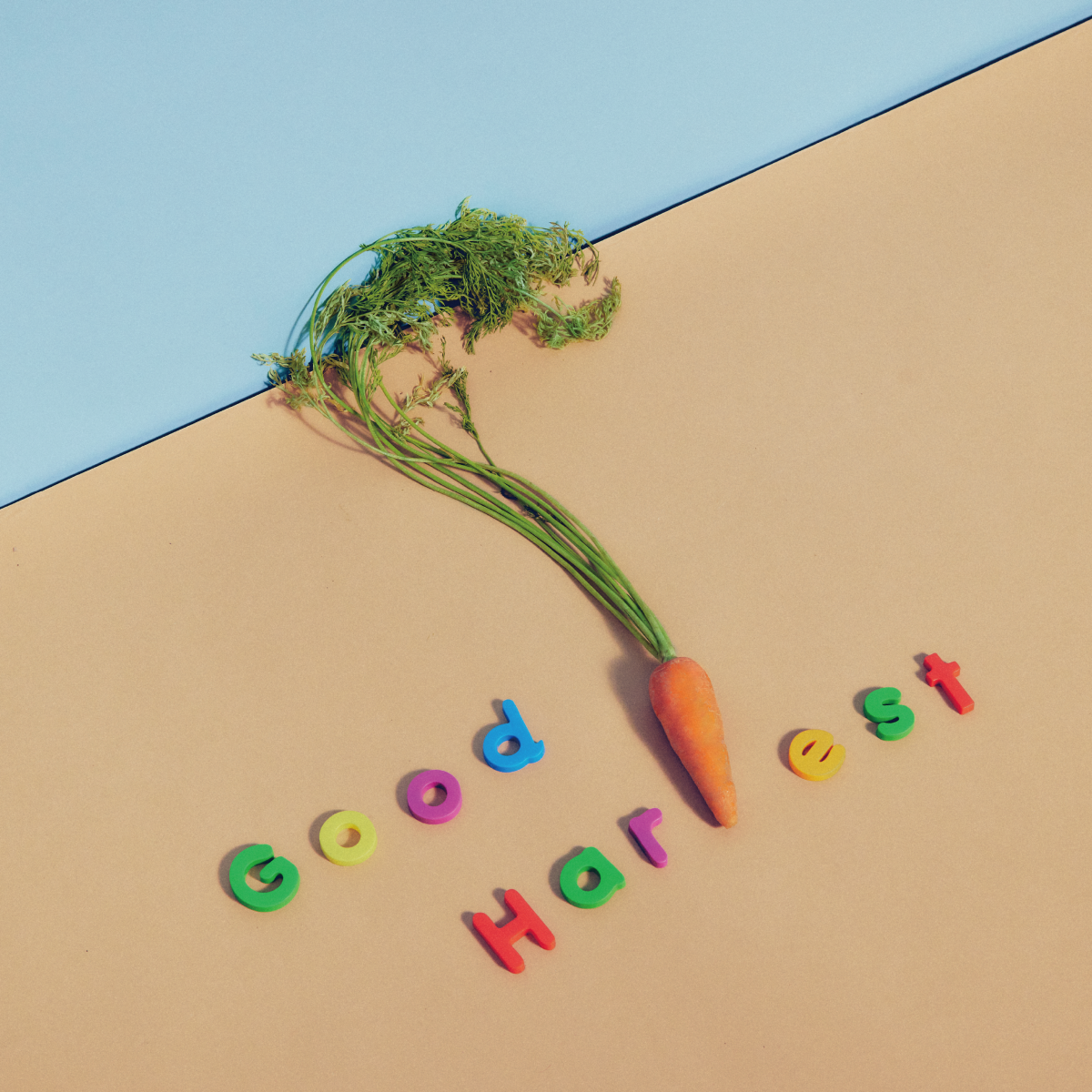 「Good Harvest」
