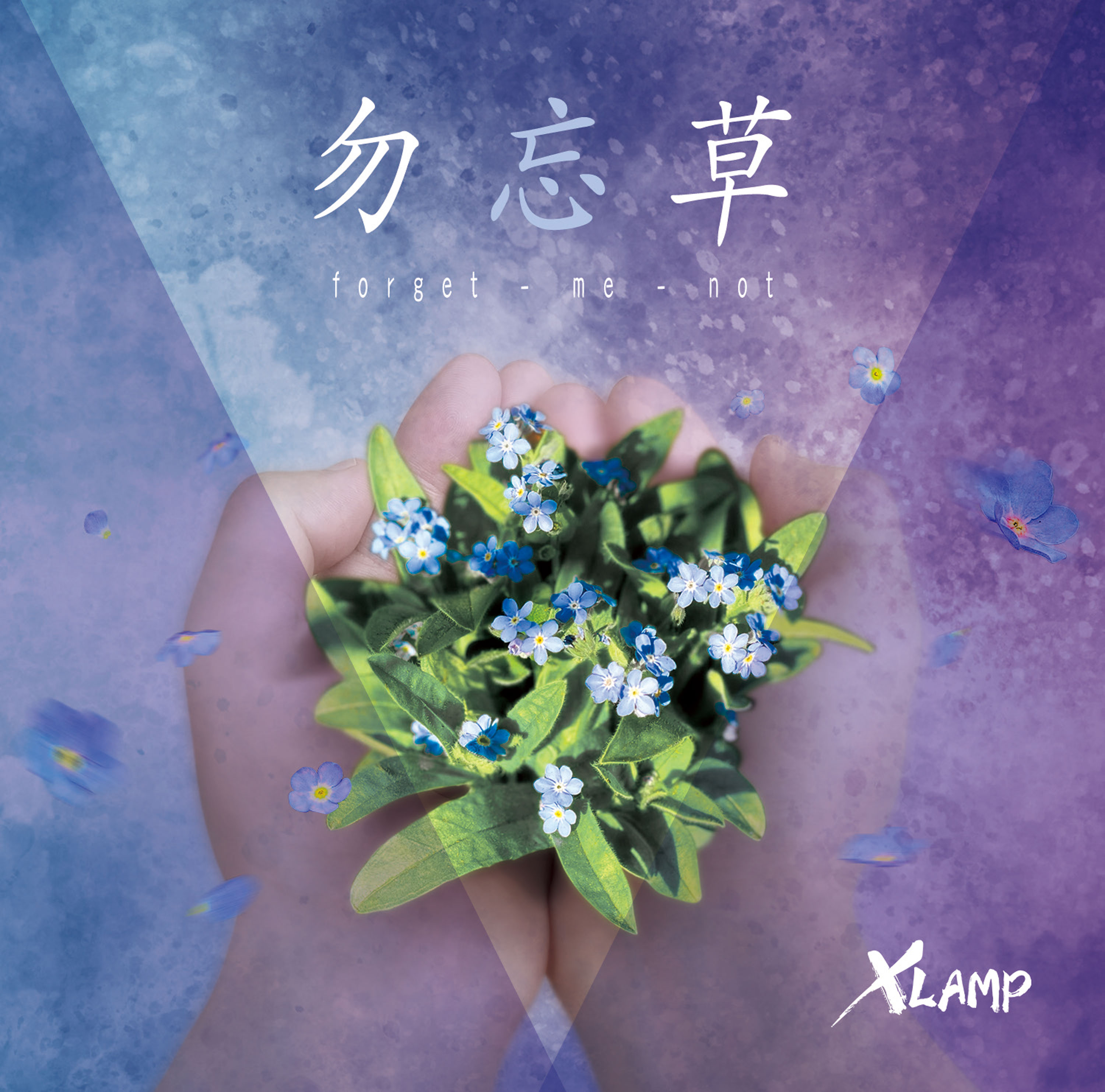 勿忘草