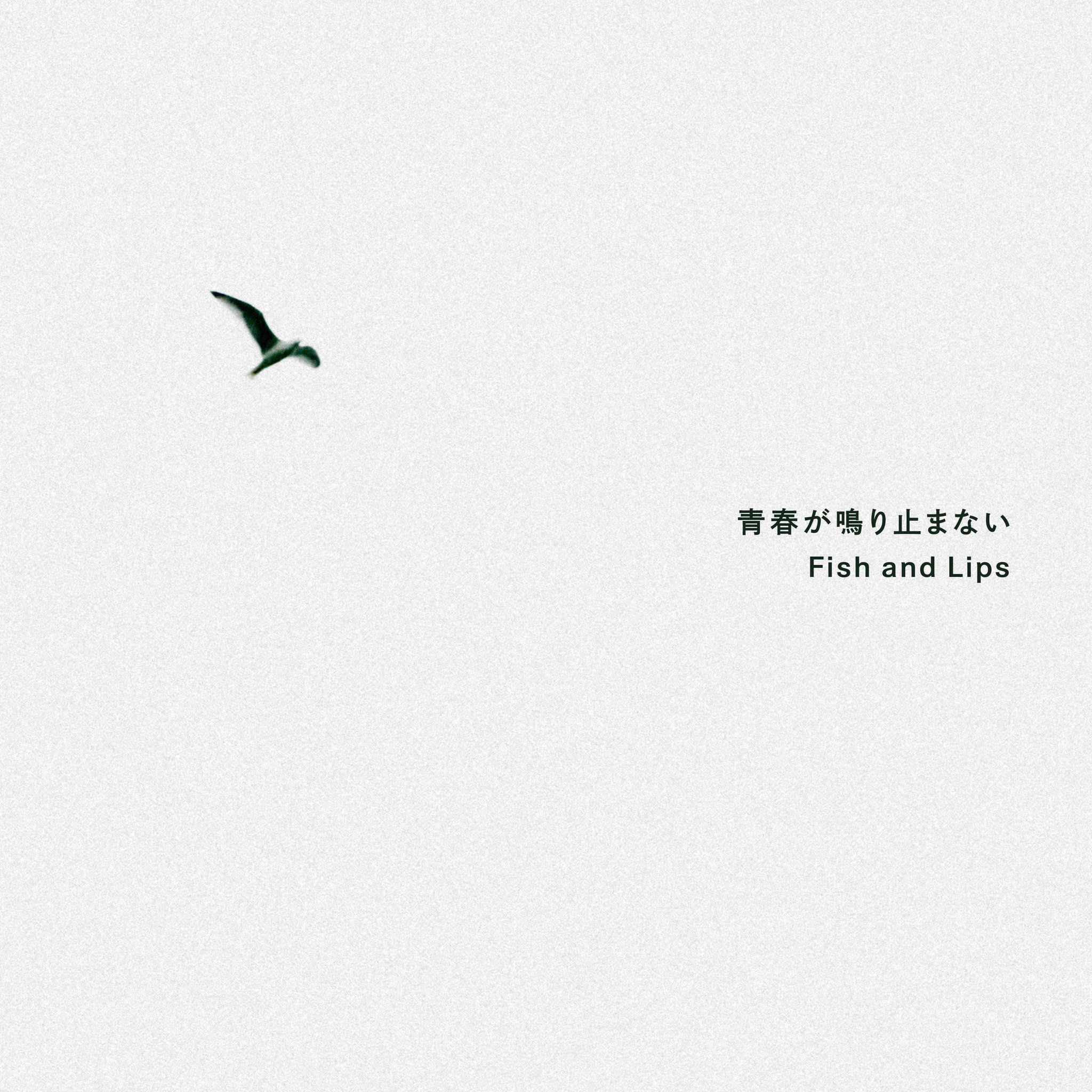 『青春が鳴り止まない』