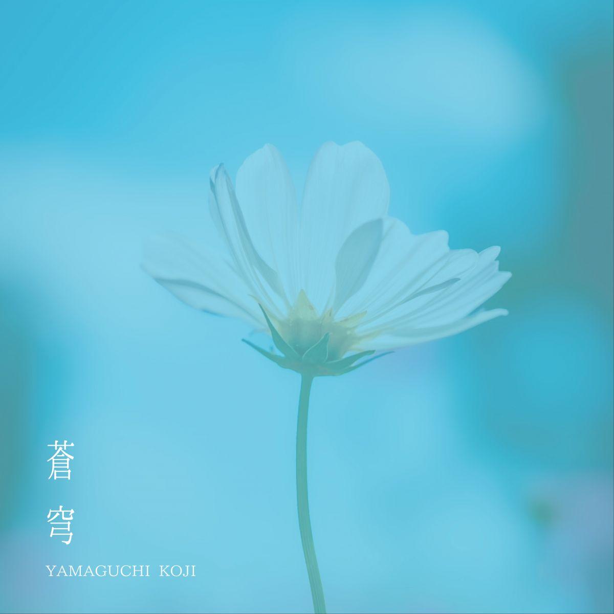 蒼穹