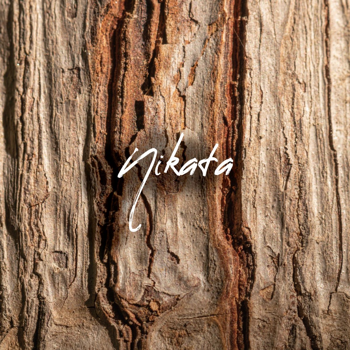 NIKATA