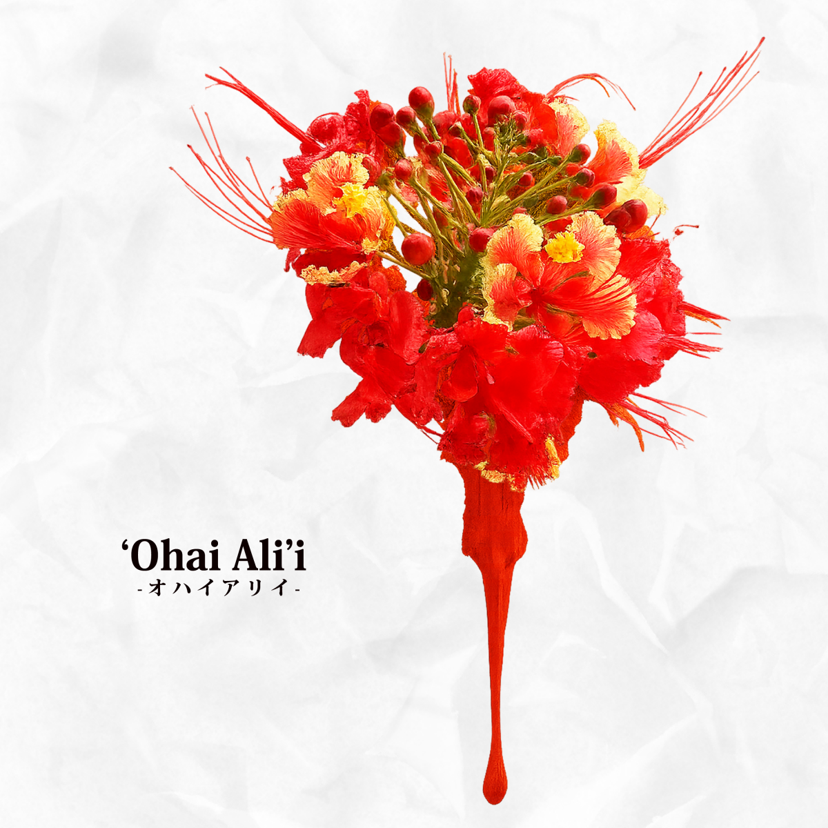 ’Ohai Ali’i