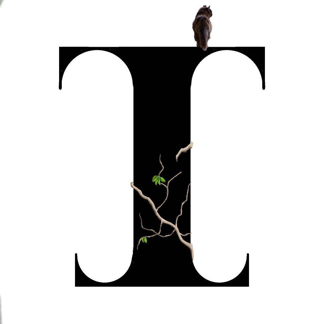 I