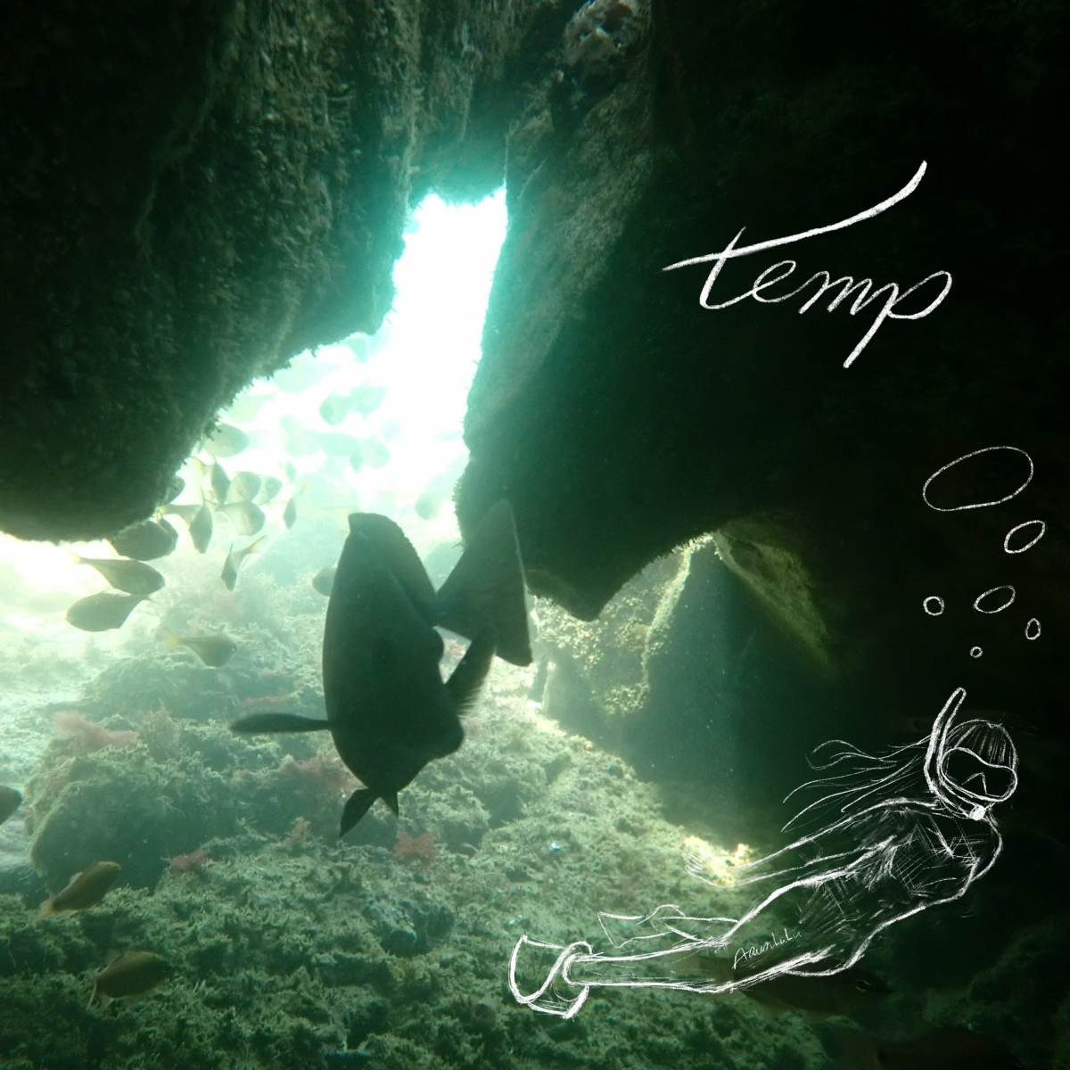 temp