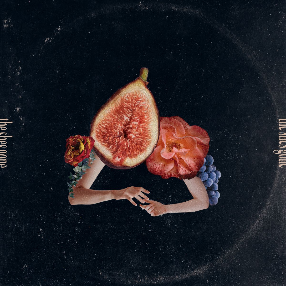 Digital Single「ダーリンレス」