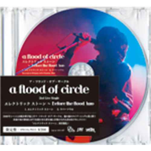 エレクトリック ストーン ～Before the flood two