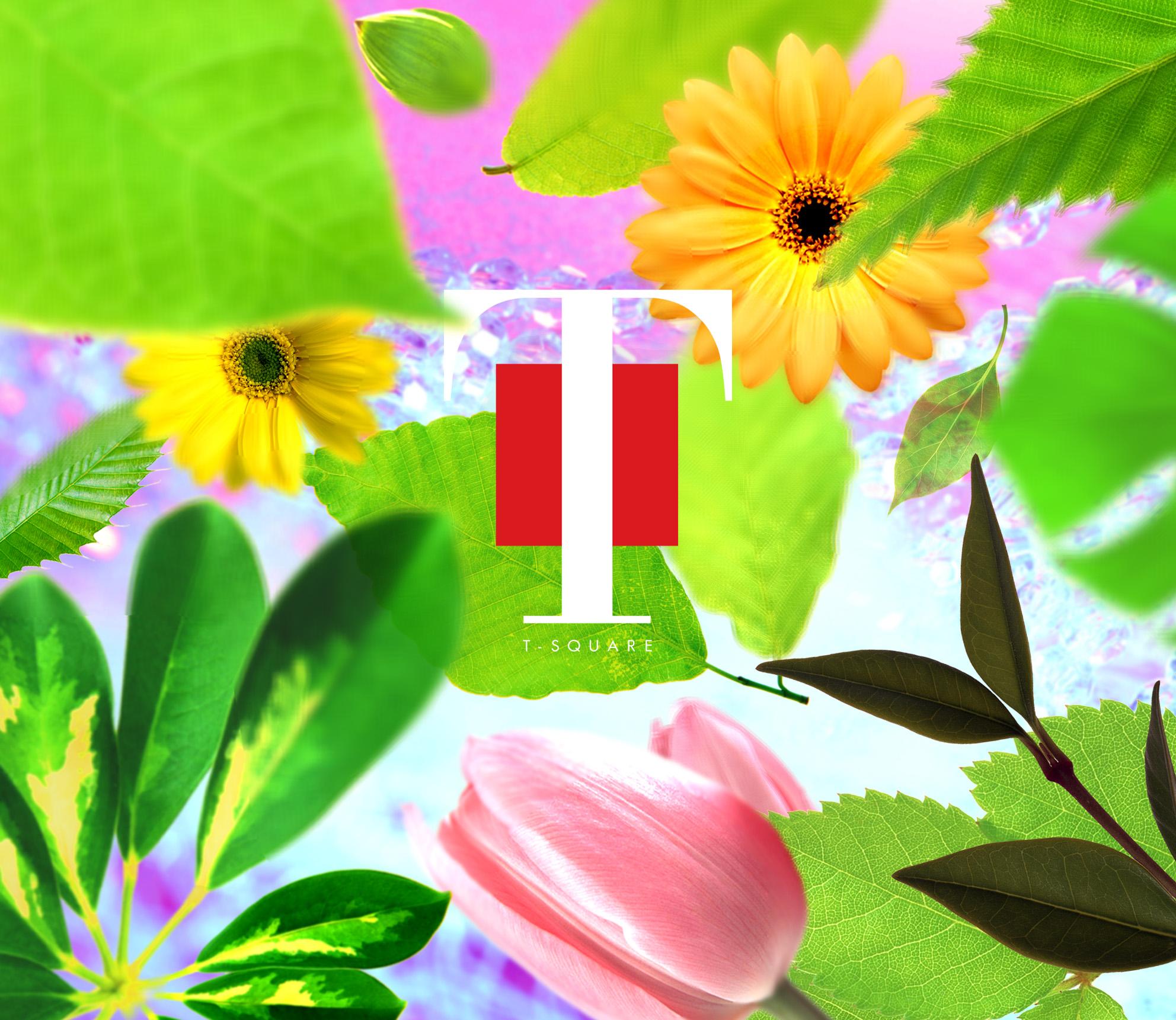 夢曲（ゆめのうた）〜T-SQUARE　plays　THE　SQUARE〜