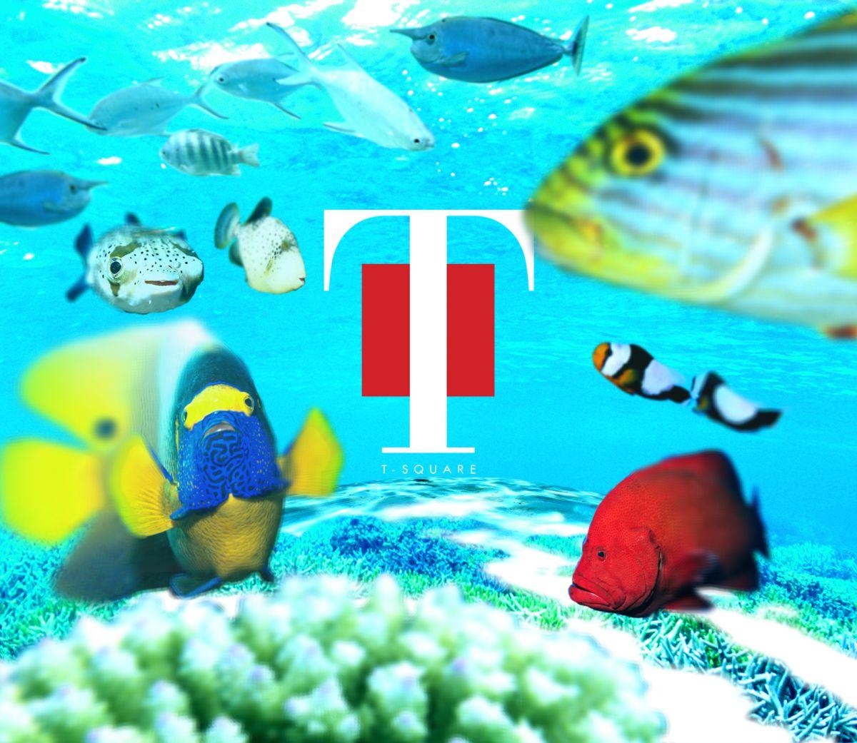 宝曲（たからのうた） 〜T-SQUARE plays THE SQUARE〜