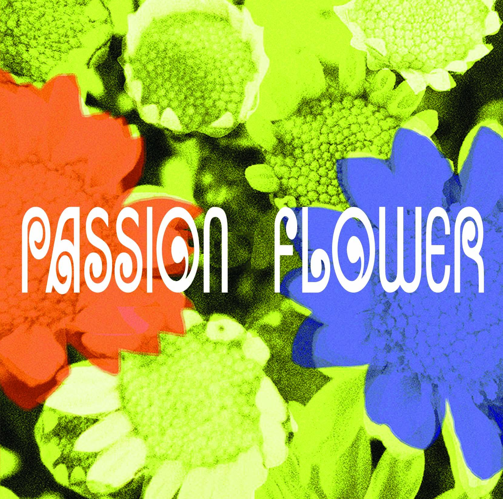 PASSION FLOWER／T-SQUARE