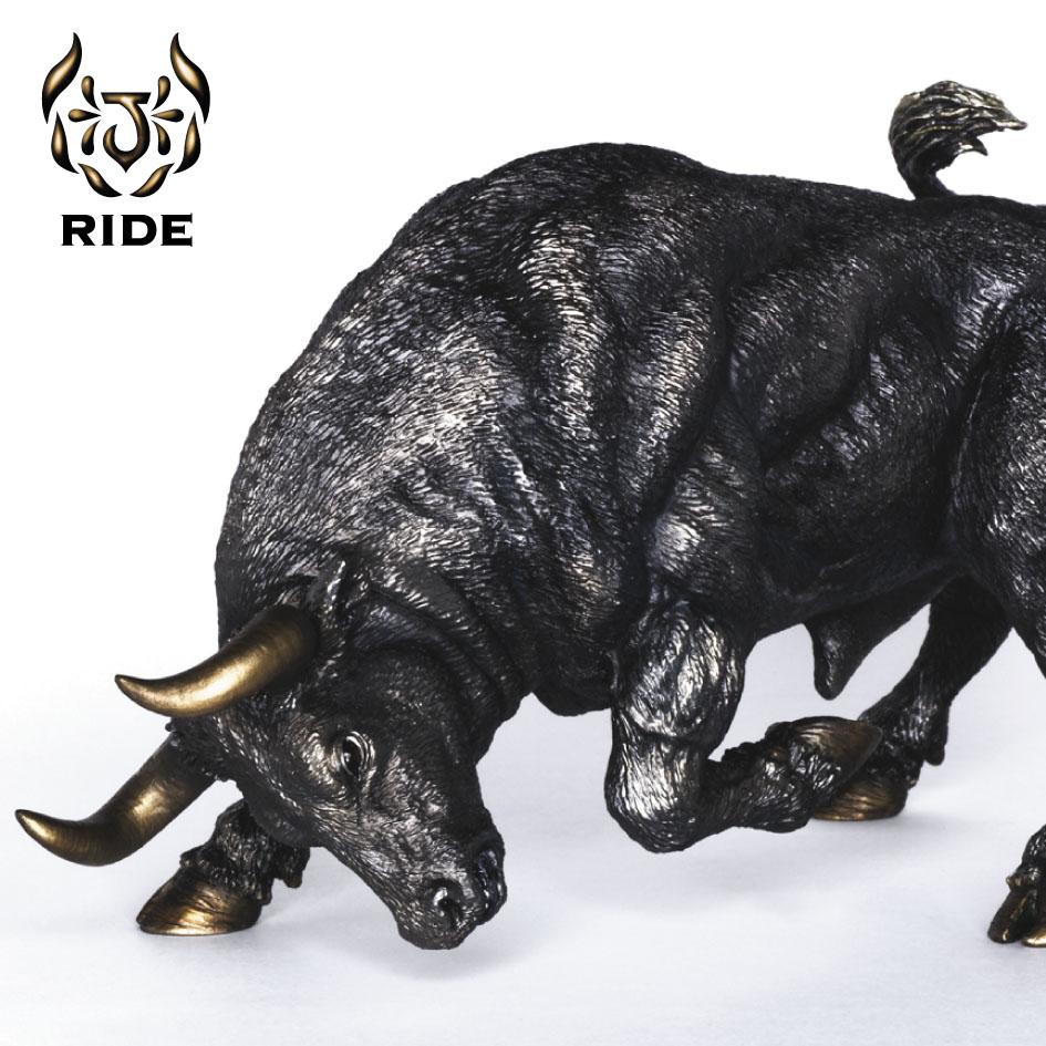 RIDE