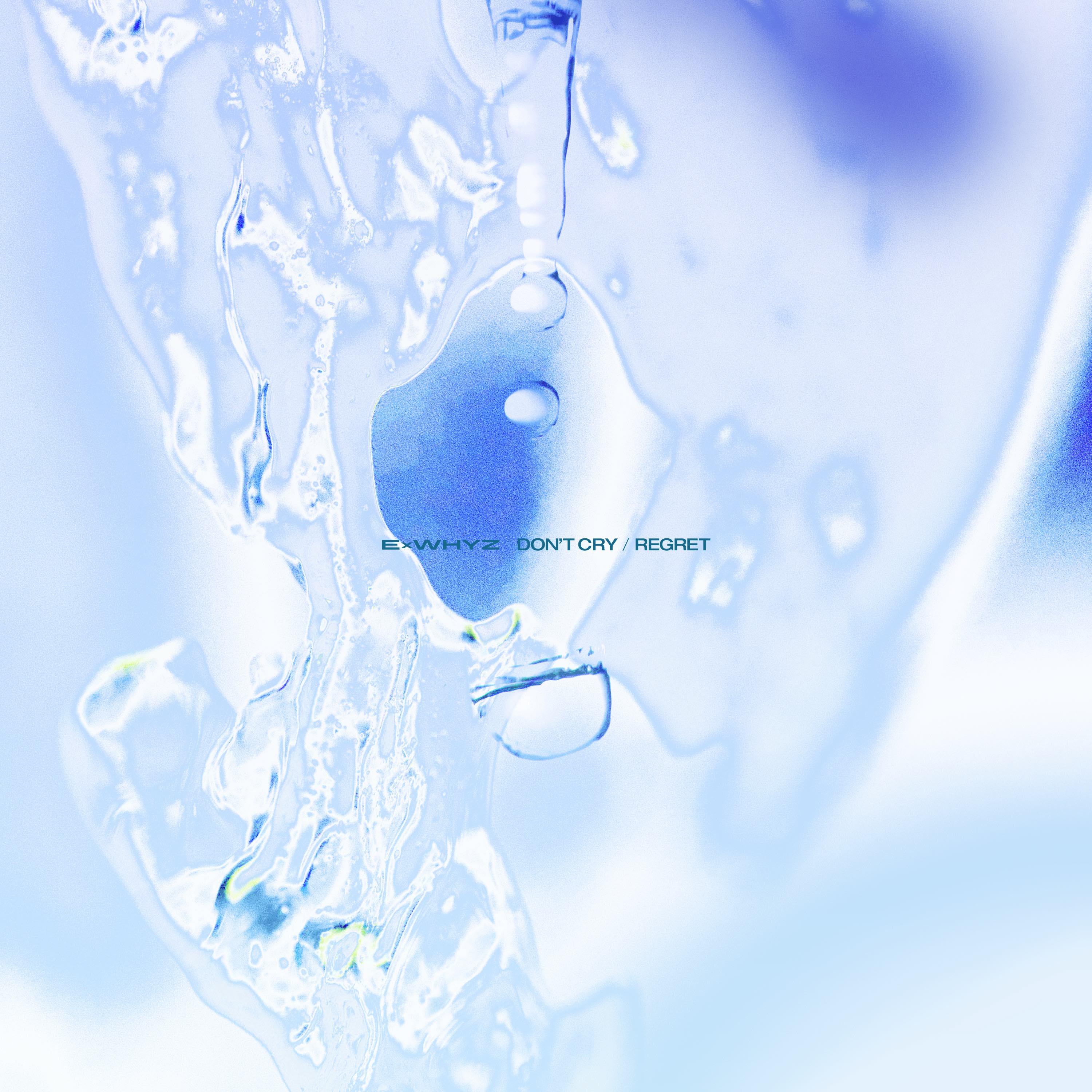 DON'T CRY / リグレット【DVD盤】