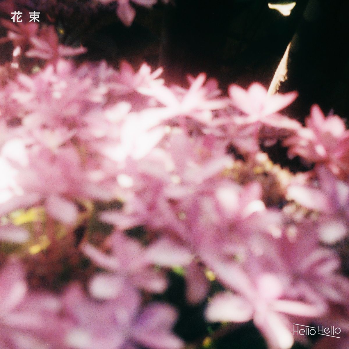 Digital Single「花束」
