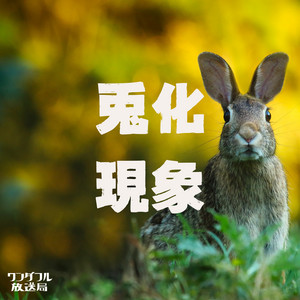 兎化現象
