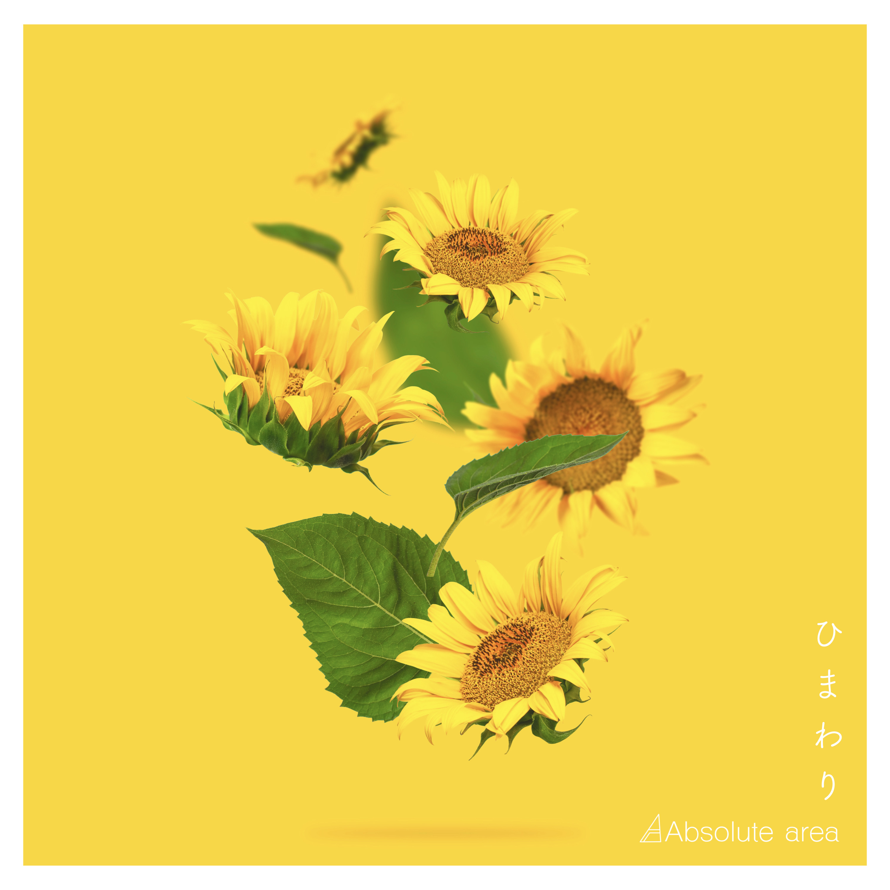 Digital single「ひまわり」