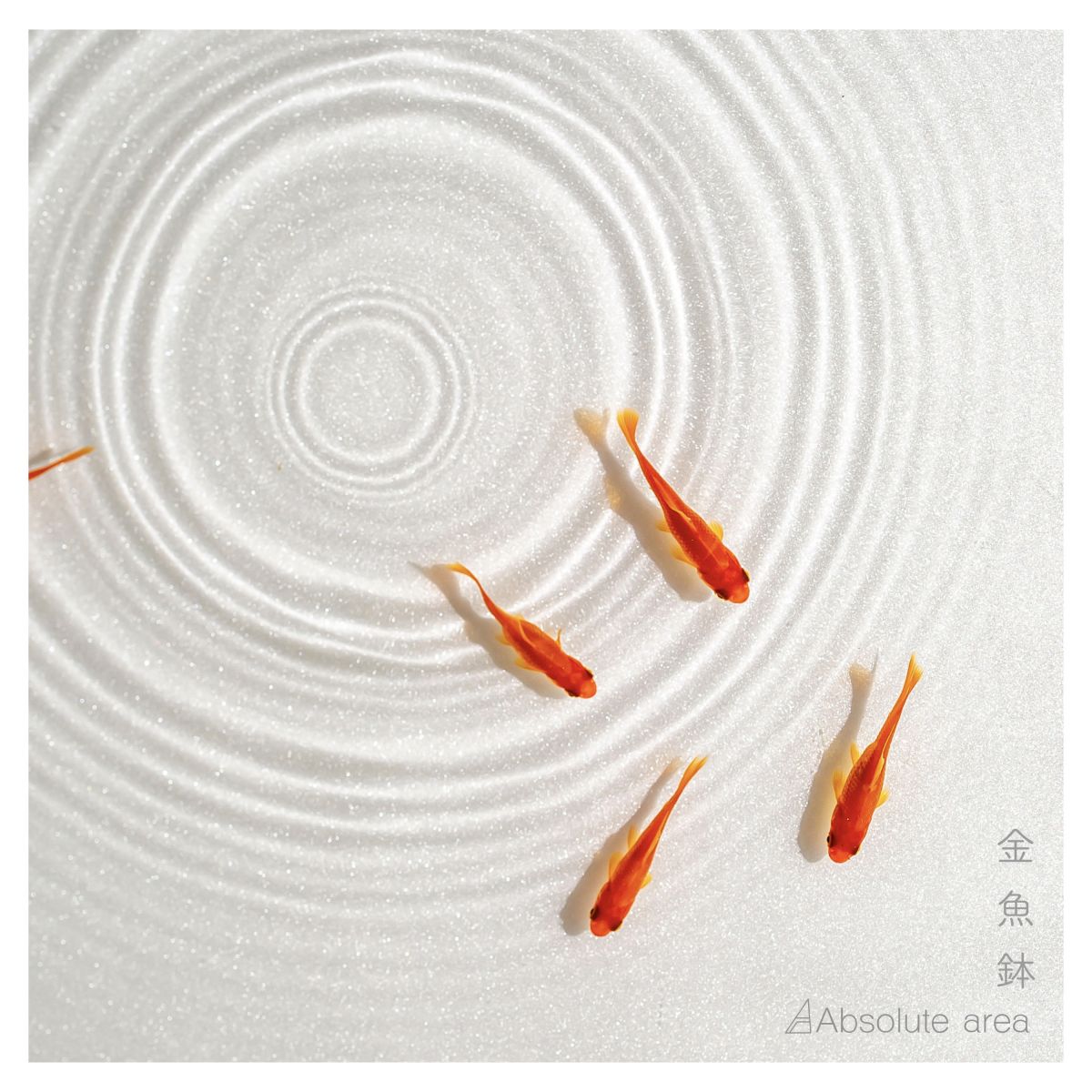 Digital single「金魚鉢」｜DIGITAL｜Absolute area｜Absolute area