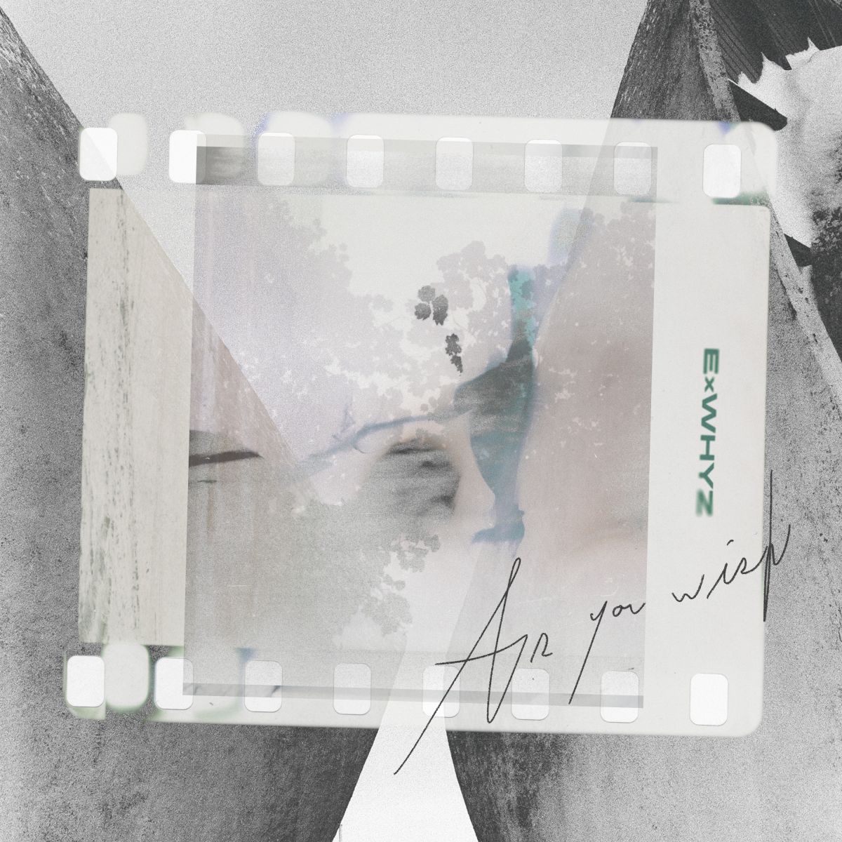 Digital Single「As you wish」
