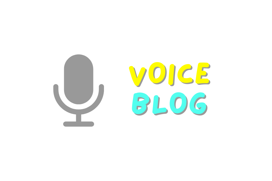VOICE BLOG