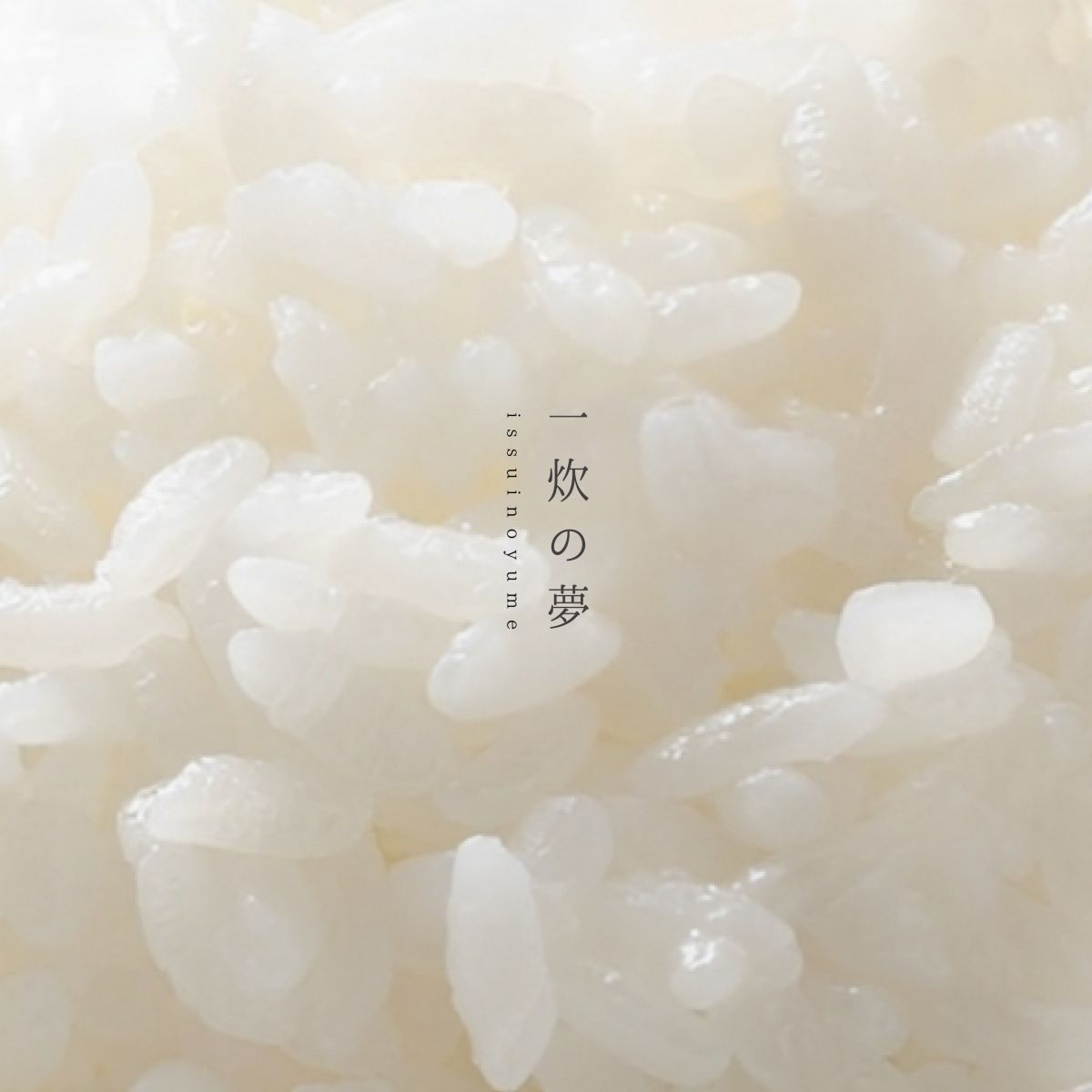 New Release！「一炊の夢」
