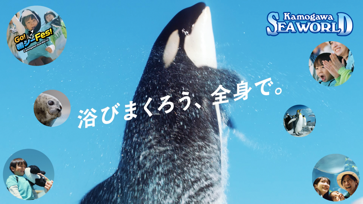 鴨川シーワールド新TVCMソングに「向日葵」が起用！
